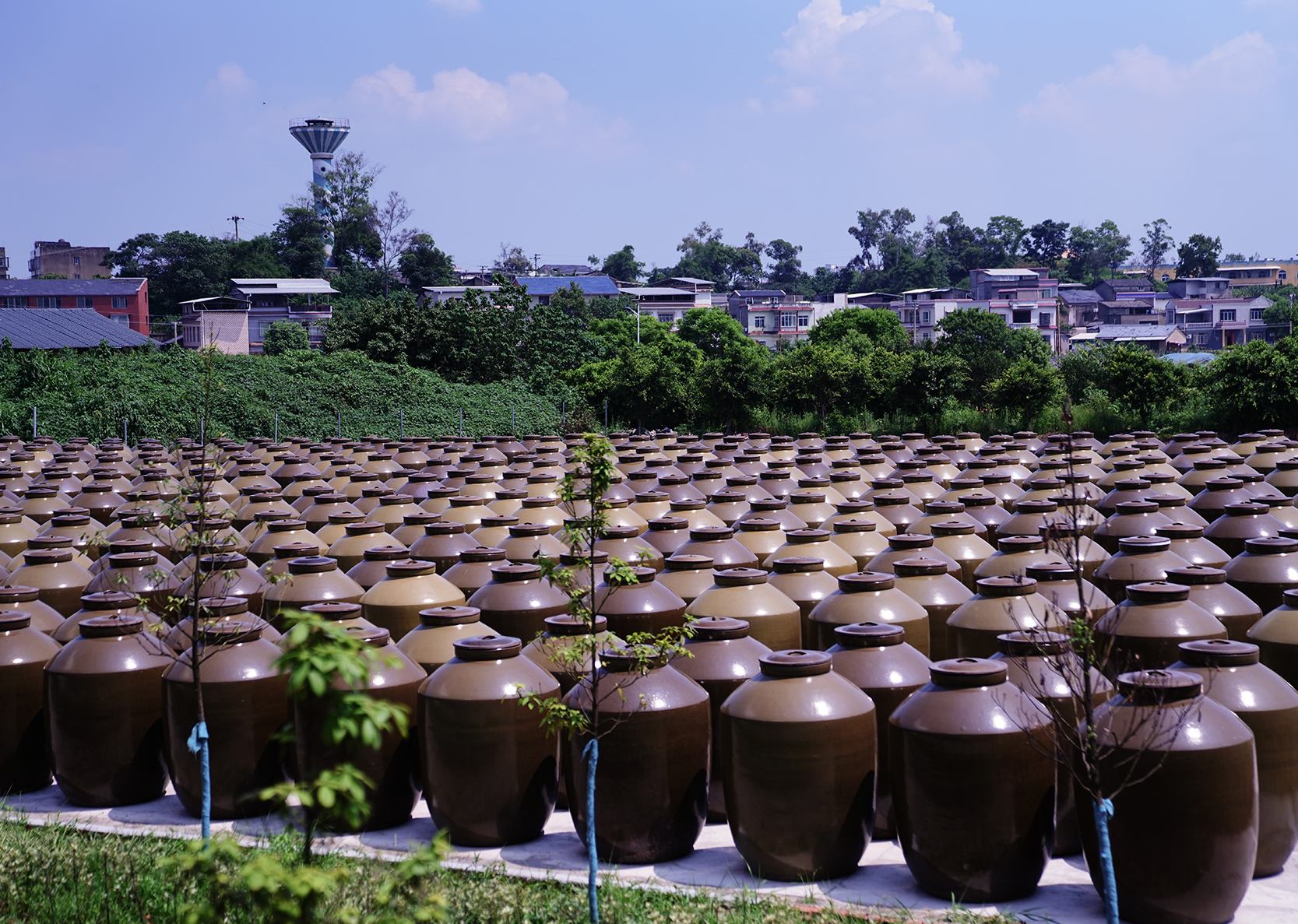 五百噸曬壇區(qū)